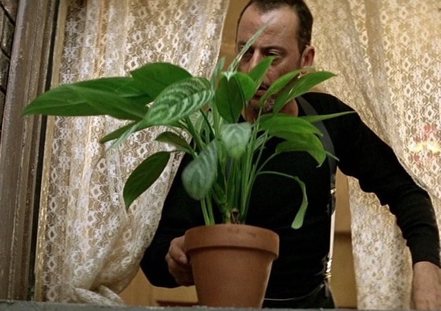 jean-reno-n-plant.jpg