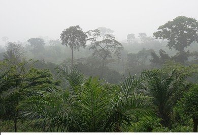 landscape-togo-west-africa-dust-260nw-1168622053_1.jpg