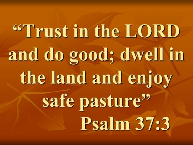 The fate of the righteous. Trust in the LORD and do good; dwell in the land and enjoy safe pasture. Psalm 37,3.jpg