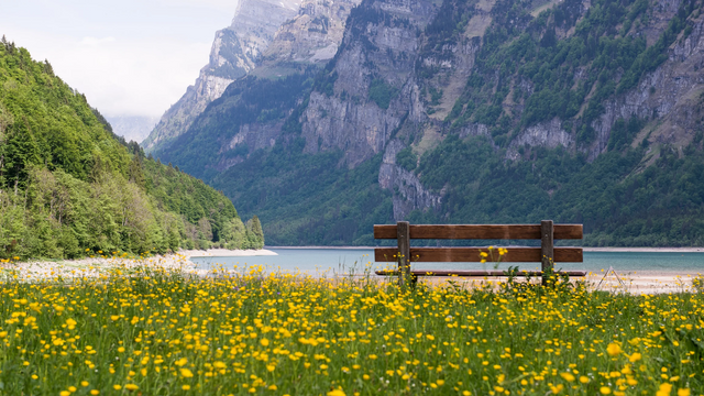Green Natural Switzerland Scenery Desktop Wallpaper_20250428_220216_0000.png