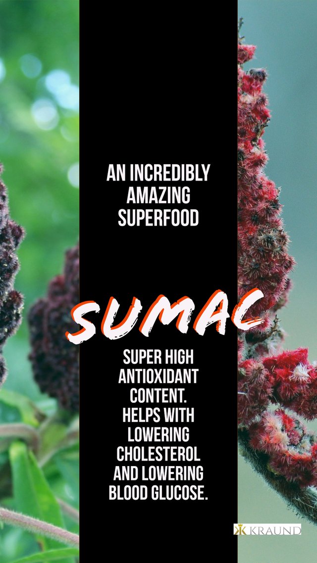 Sumac.jpg