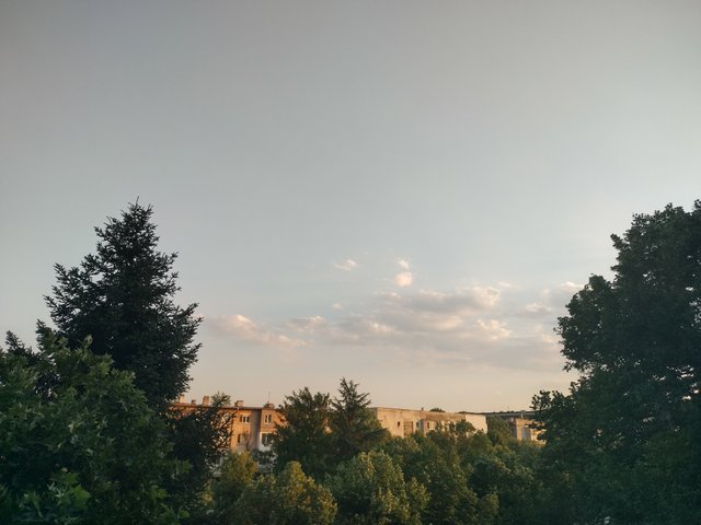 IMG_20250626_200345_HDR.jpg