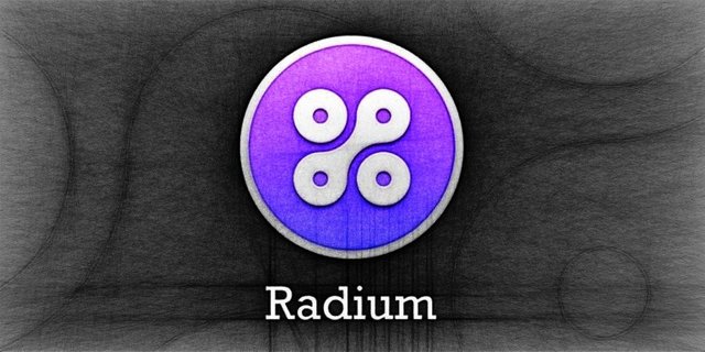 radium coin cryptocurrency radsusd.jpg