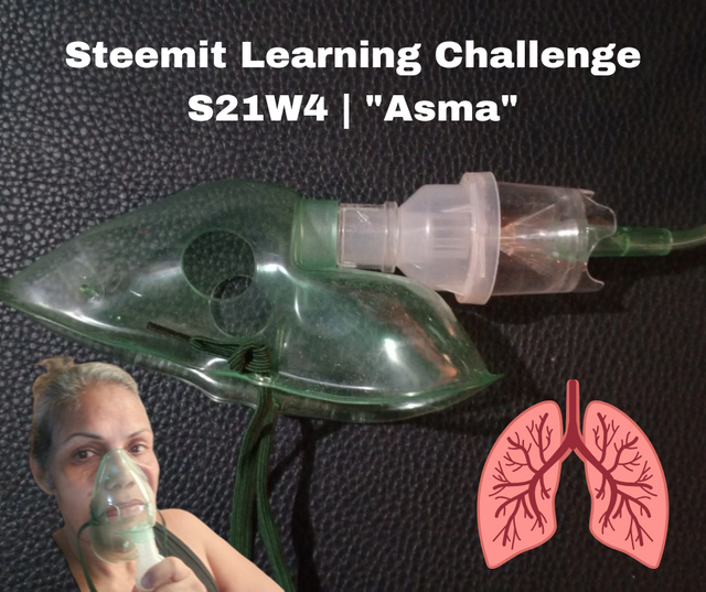 Steemit Learning Challenge-S21W4; Asma__20241121_201321_0000.png