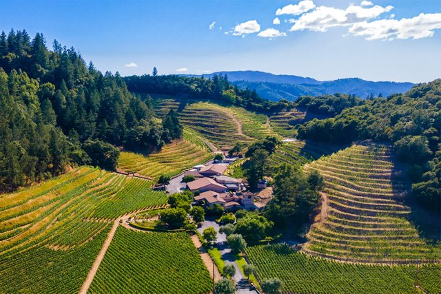 Pine-Ridge-Vineyards-Estate-property-ariel-view-1320x880-2.jpg