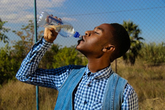 pexels-thomas-chauke-437438-1126557.jpg
