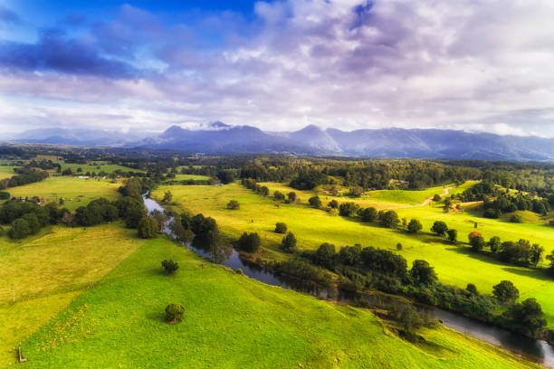 istockphoto-1083063828-612x612.jpg