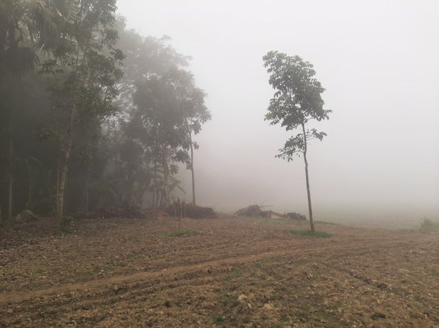 20221230_090733.jpg