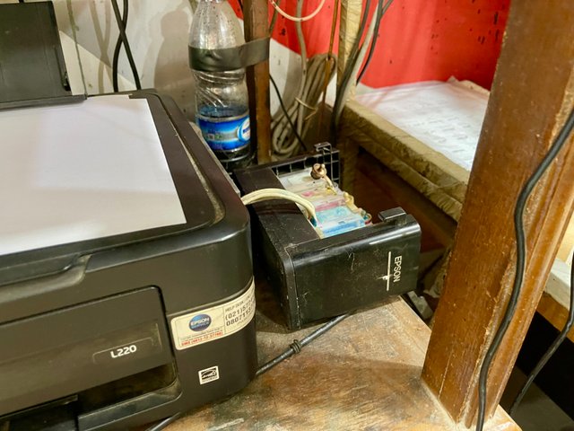 IMG_1019.jpeg