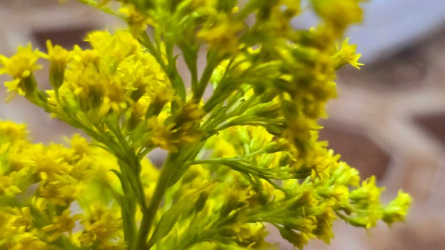 20250512_001708.jpg