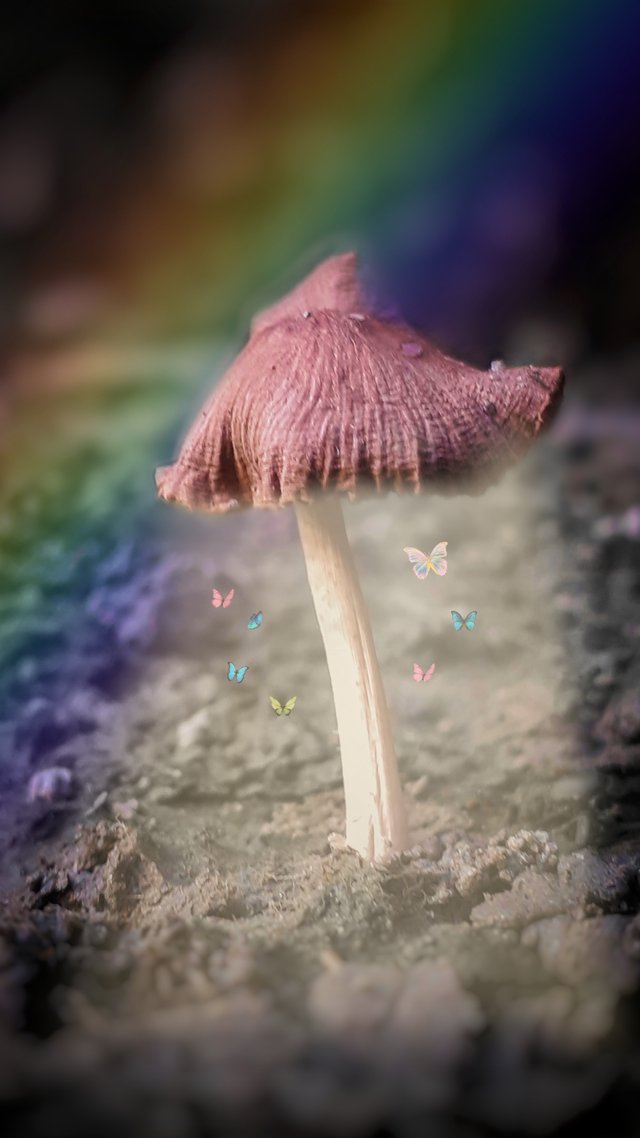 PicsArt_09-21-05.37.12.jpg