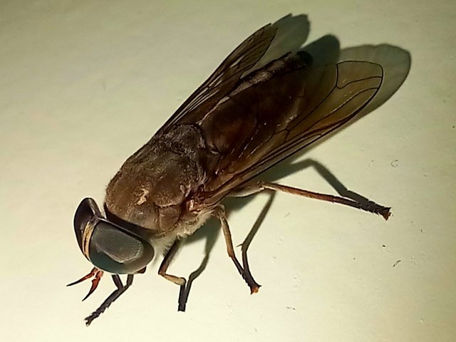 20241017_152756.jpg