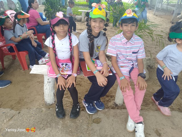 IMG_20250516_111723_354.jpg