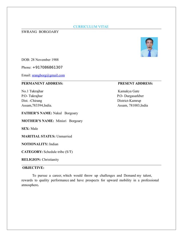 Sample On How To Write Curriculum Vitae Steemit