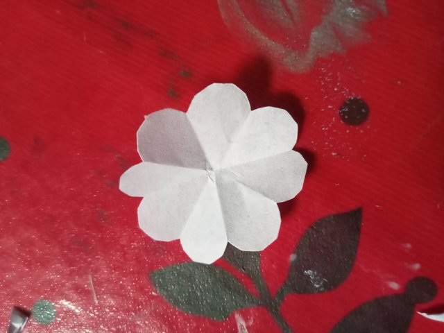 IMG20250317160712.jpg