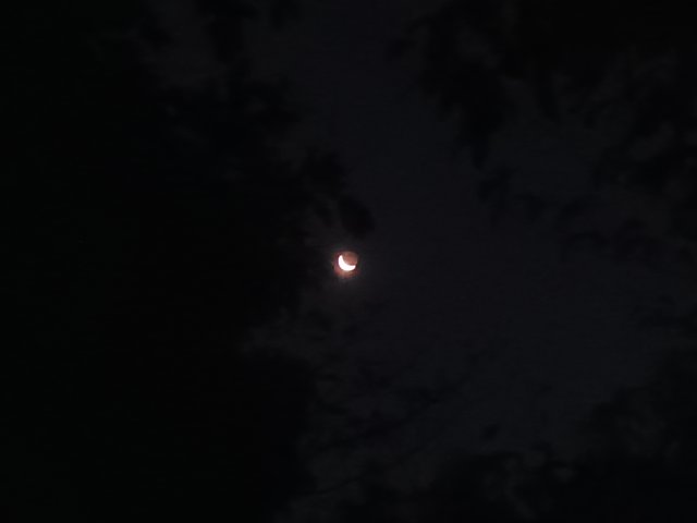 IMG_20250327_050759_548.jpg
