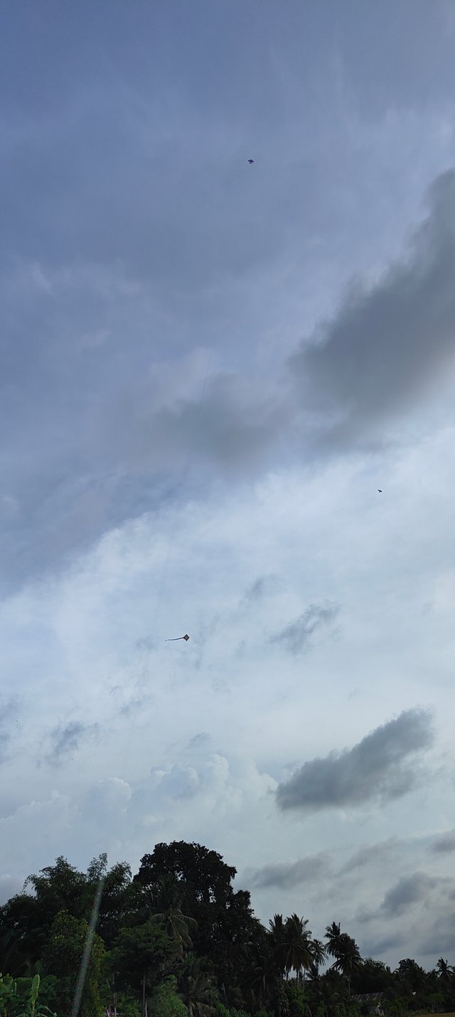 1000034541.jpg