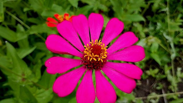 IMG_20250930_164105.jpg
