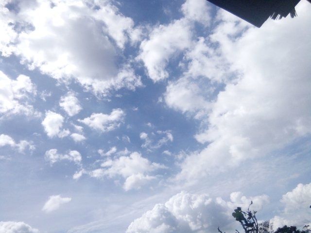 IMG20180815142230.jpg