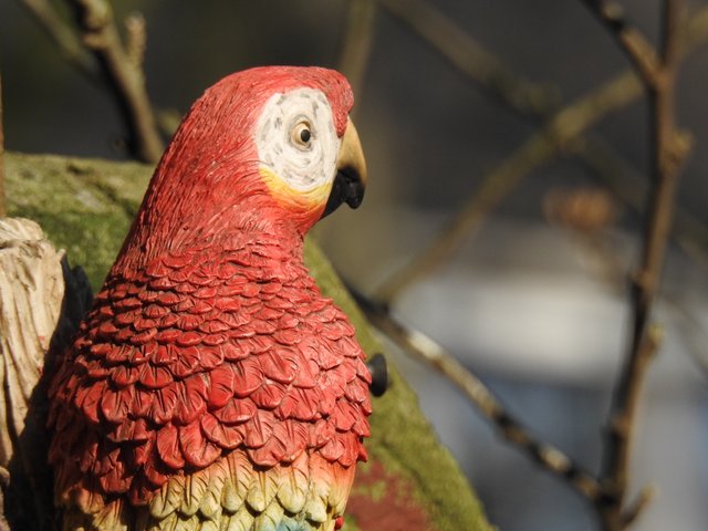 DSCN1212.JPG