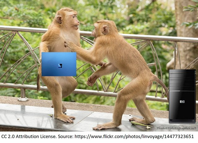 małpy desktop.png