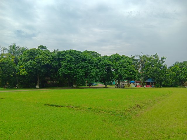 1000038584.jpg