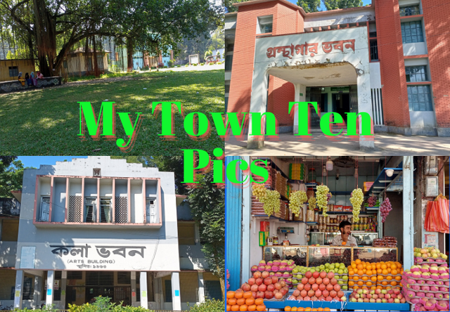 My Town Ten Pics.png