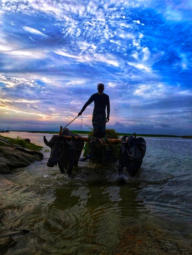 IMG_20250710_181645 (1).jpg