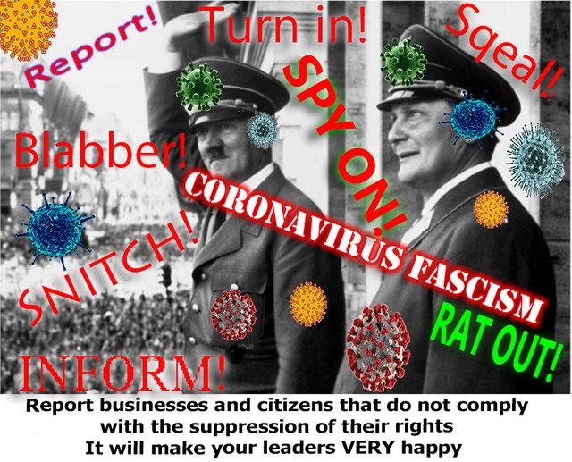 Coronavirus fascism.jpg
