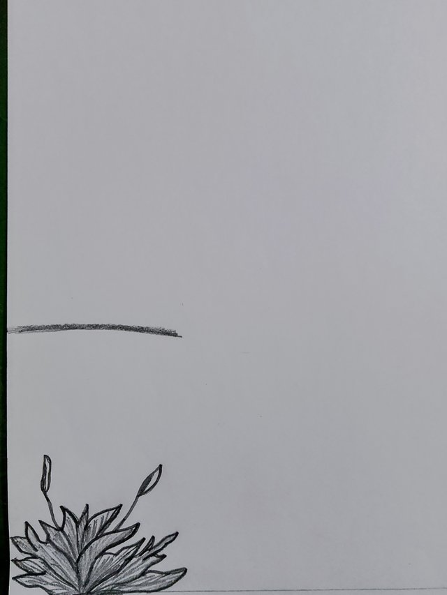 1000082440.jpg