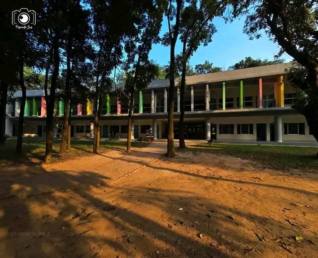 81581.jpg