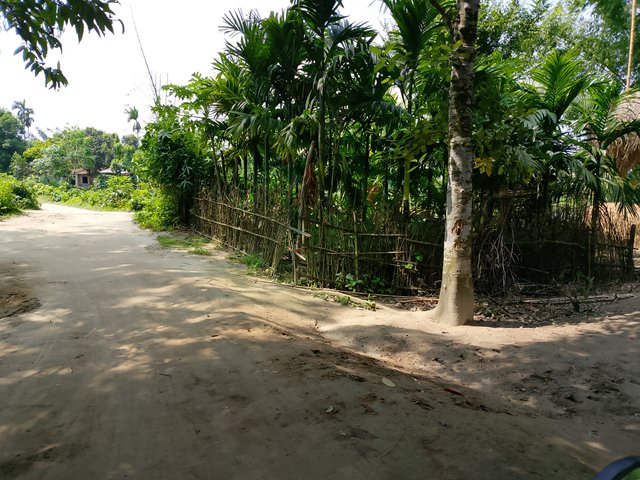 1000046304.jpg