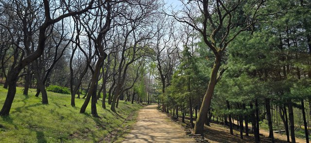 KakaoTalk_20250420_121618946_16.jpg