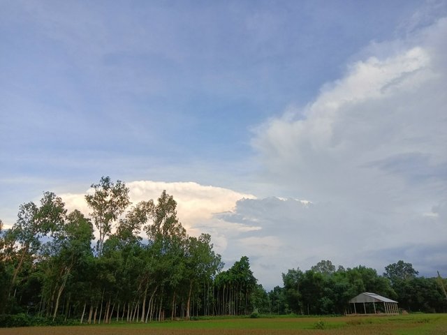 IMG_20250620_224205.jpg