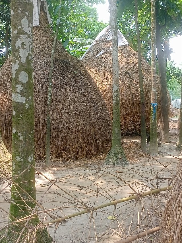 IMG20250609110716.jpg
