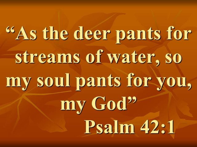 Spiritual connection with God. As the deer pants for streams of water, so my soul pants for you, my God. Psalm 42,1.jpg