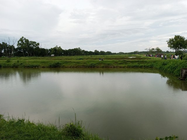 IMG_20250829_173859_610.jpg