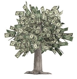 money_tree_small.jpg