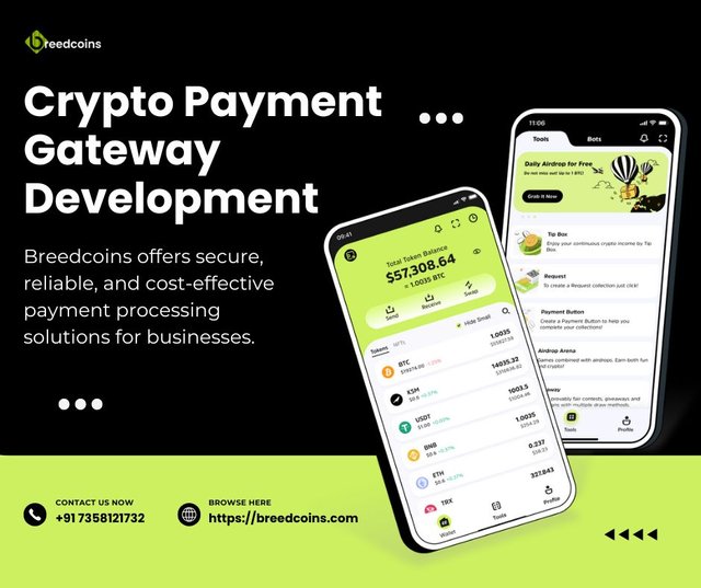 Crypto Payment Gateway Development.jpg