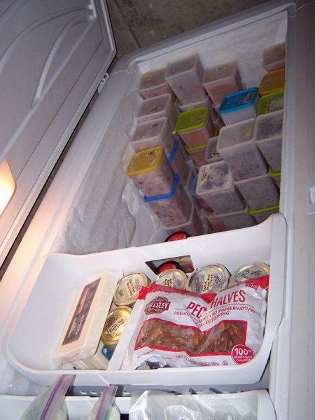 Organizing freezer crop December 2019.jpg