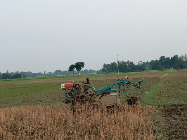 IMG_20250505_145638.jpg