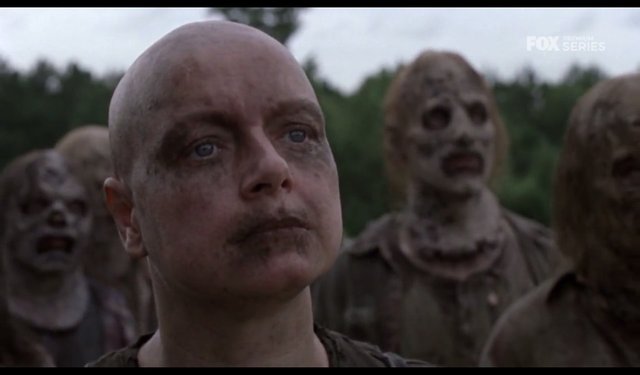 twd2.jpg