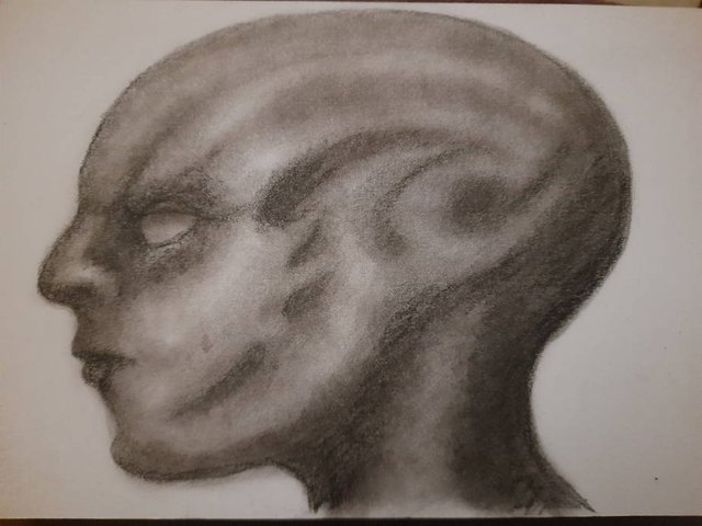 20250730_112521.jpg