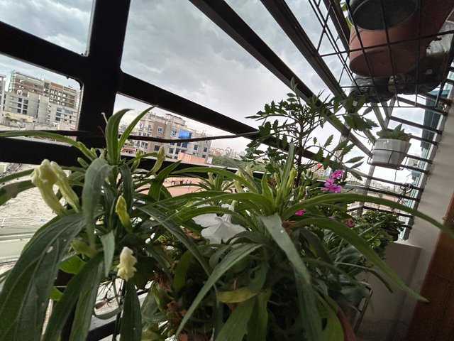 IMG_0583.jpeg