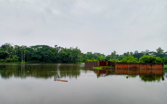 IMG20240819174908.jpg