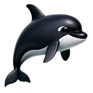 orca.webp