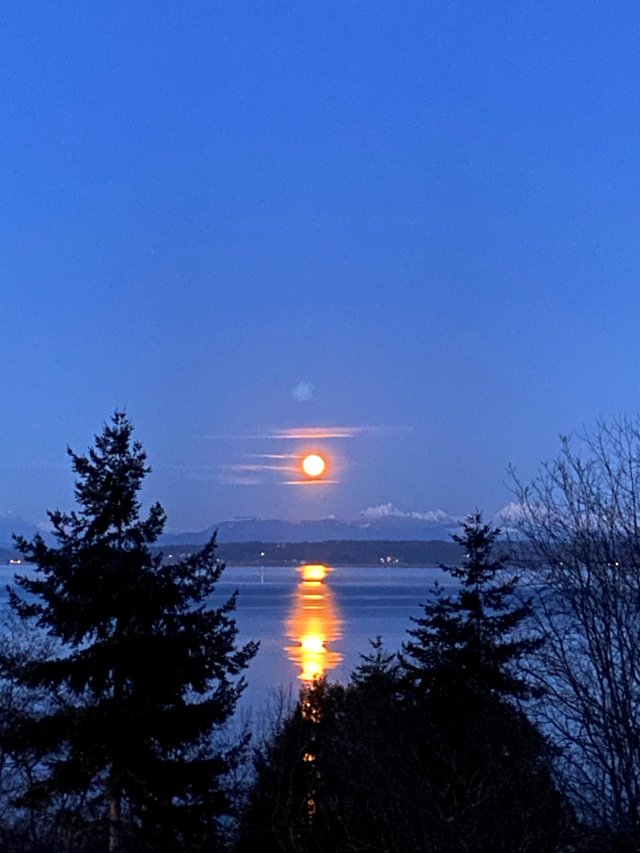 moon over water III.jpg