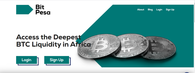 Bitpesa.png