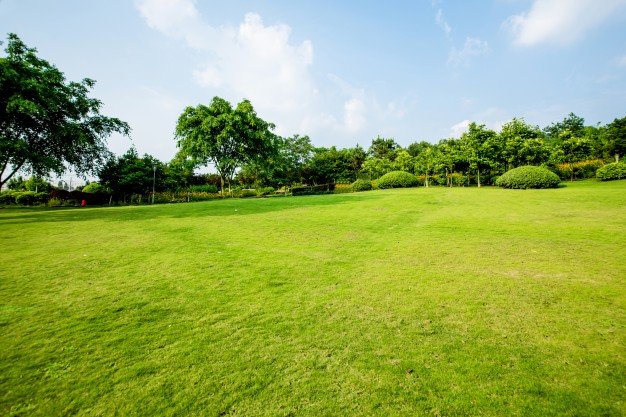 grassland-landscape-greening-environment-park-background_1112-1183.jpg