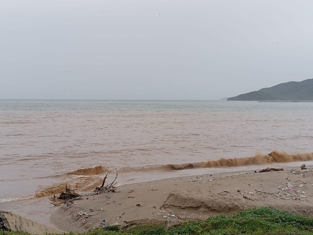 13066.jpg